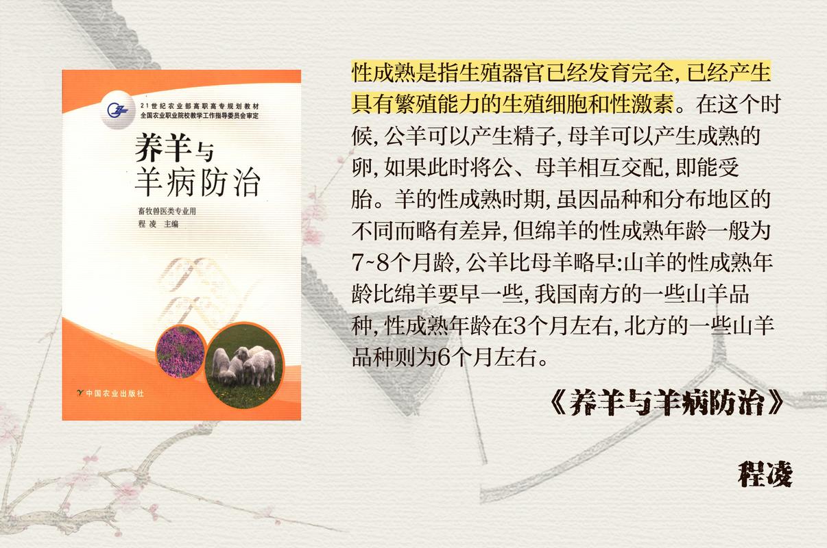 繁育优质种羊 推动量质齐升(新春走基层)