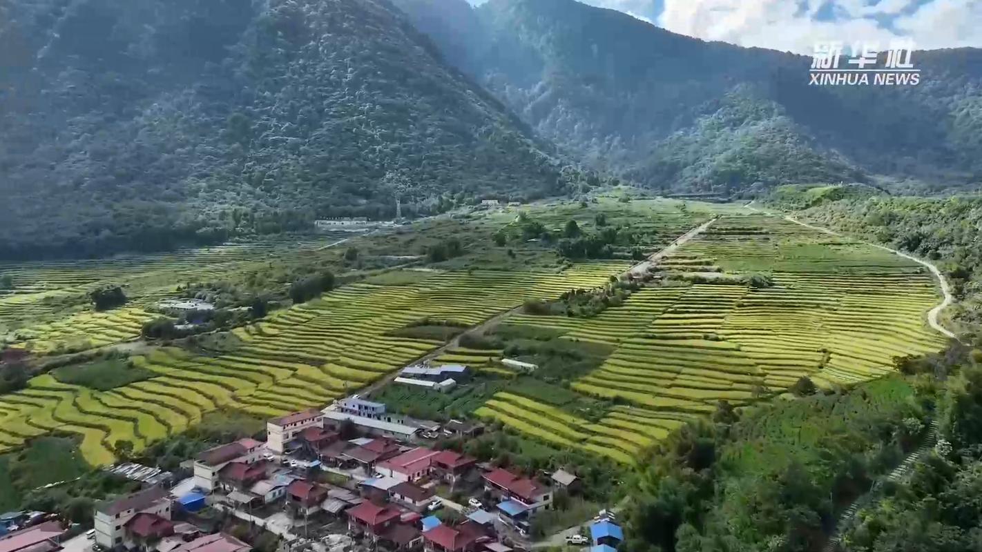 新时代中国调研行之看区域·西部篇|西藏林芝:高原渔业方兴未艾