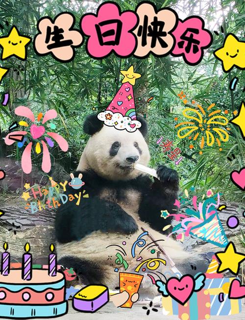大熊猫“香香”迎来七岁生日