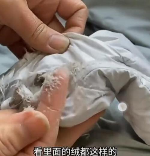 2000多元的羽绒服洗一次鹅绒全碎了?商家:不属于质量问题