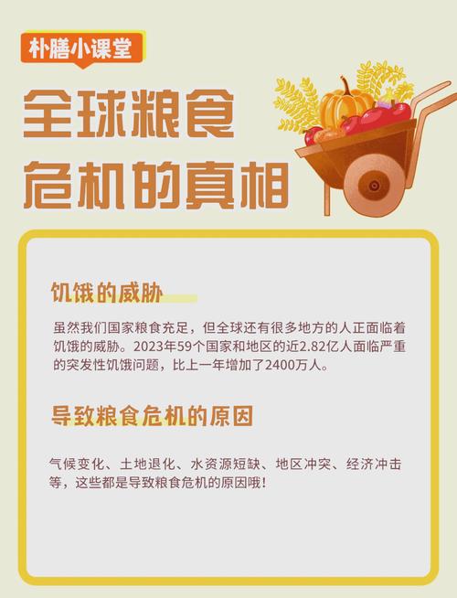 三大因素致全球粮食危机局势持续恶化中国以实际行动保障世界粮食安全