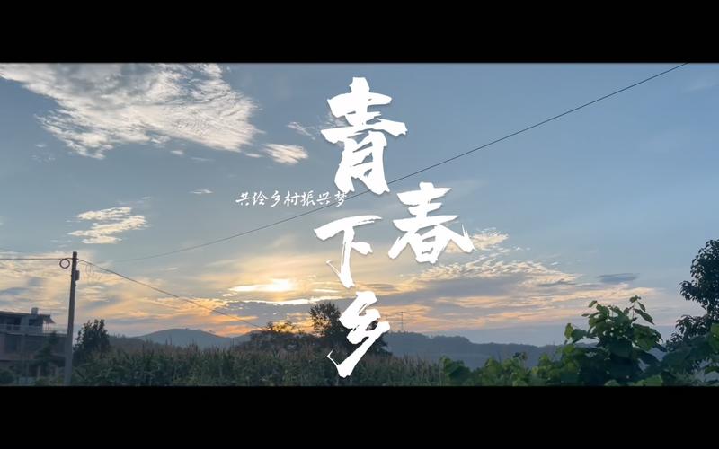 青春逐梦乡野间:“新农人”变“兴农人”