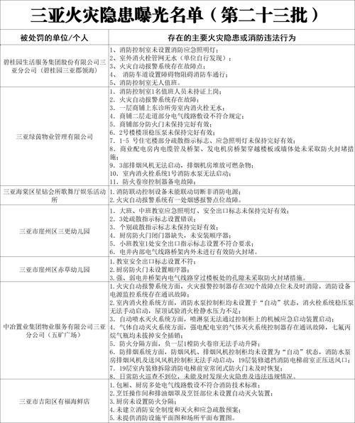 三亚集中曝光14家火灾隐患单位