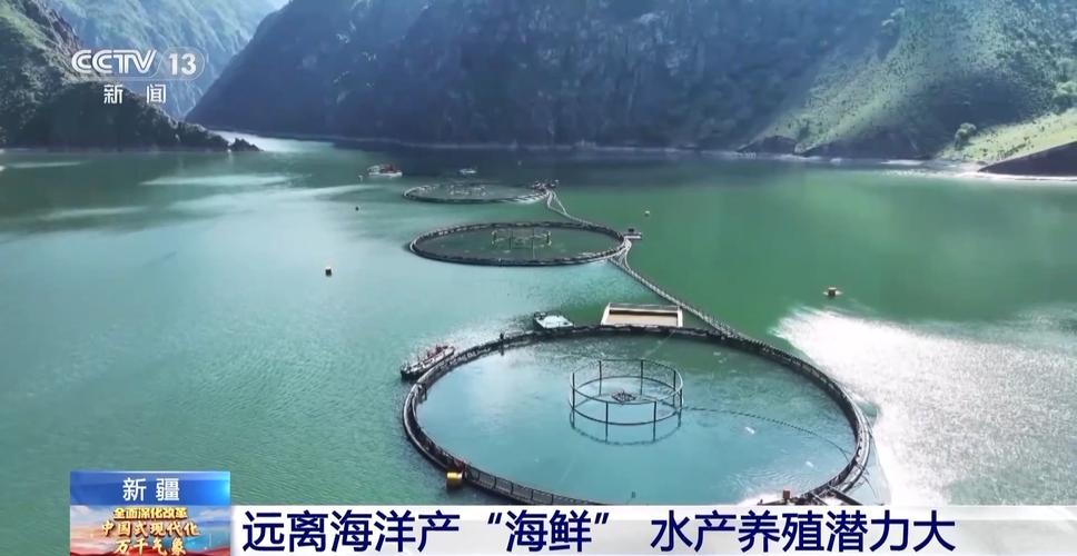 三文、螃蟹、龙虾……走进新疆看“沙漠海鲜”火爆背后
