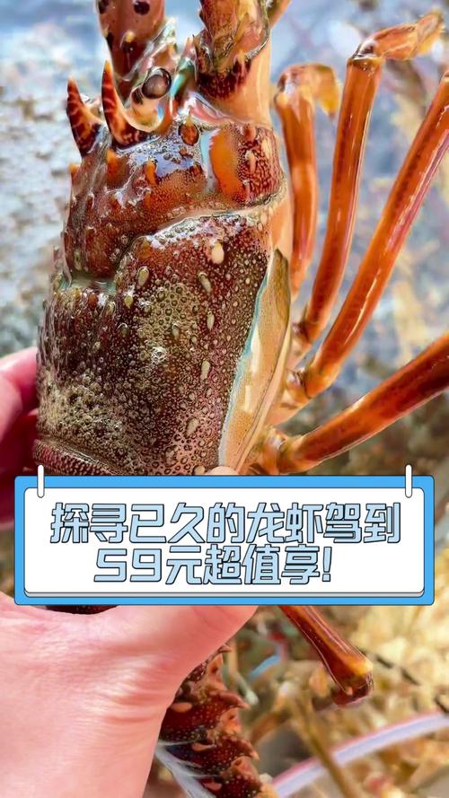 长春机场小龙虾增量显著 日进港达500公斤