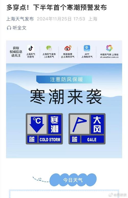 寒潮+大风!上海目前“双蓝”预警高挂