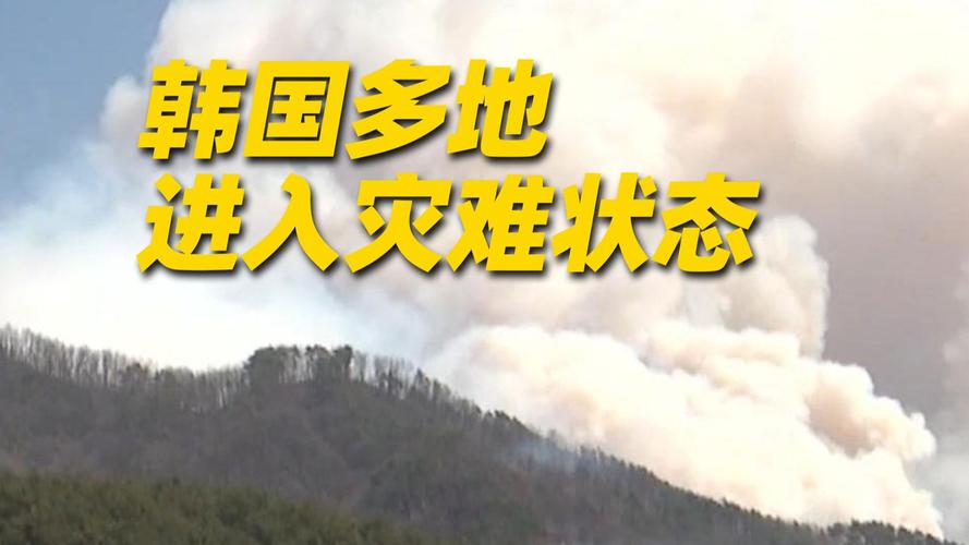 韩国迎来极端降雨天气 已致4人死亡