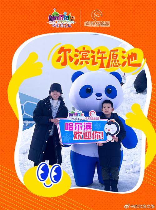 台湾“小当归”如愿来到哈尔滨与“淘学企鹅”玩耍