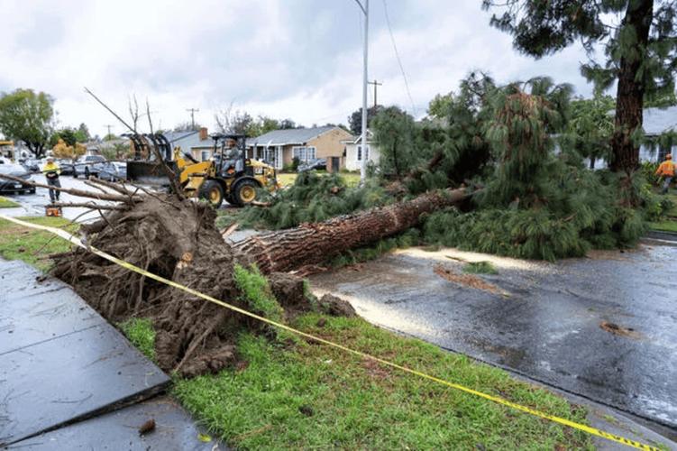 综述|中东欧多国遭暴风雨侵袭 造成至少16人死亡