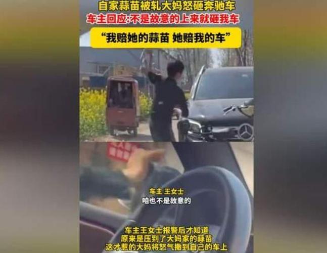 大妈猛砸奔驰车称其压到自家蒜苗?网友:“最贵蒜苗”