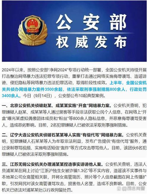 公安部公布打击整治网络暴力违法犯罪10起典型案例