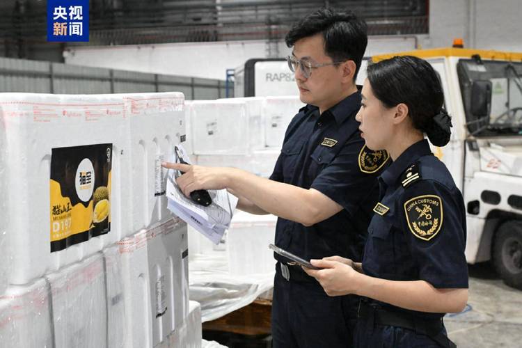 华东首批马来西亚鲜食榴莲飞抵宁波 新通道保障“鲜”入境