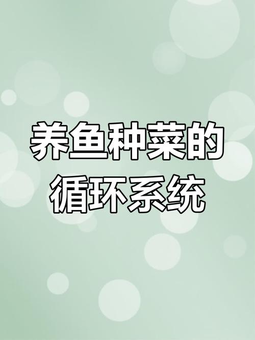 网上养鱼、种菜火了 小心这类“云养经济”变成非法集资