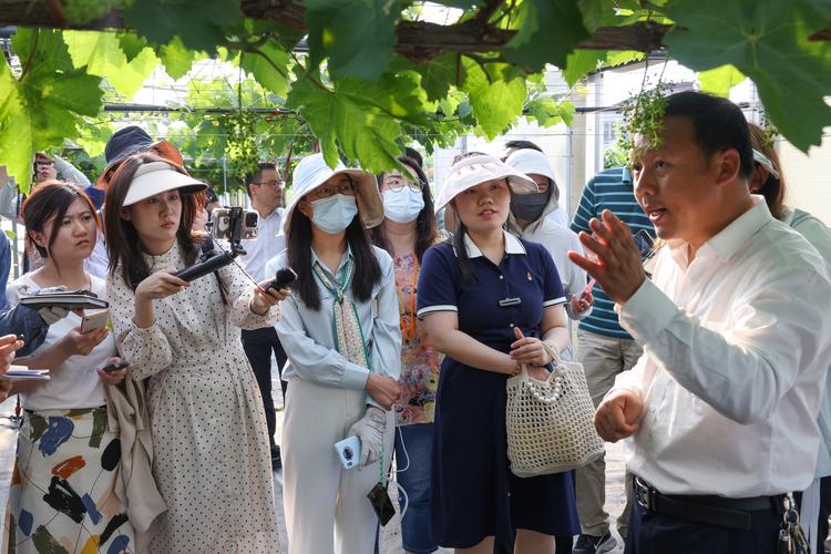 高质量发展调研行|北京“花乡”升级“美丽产业”