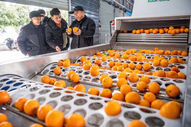 重庆市垫江县发布大雾橙色预警