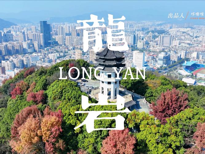 龙岩:一个山区特色产业集群的崛起之路