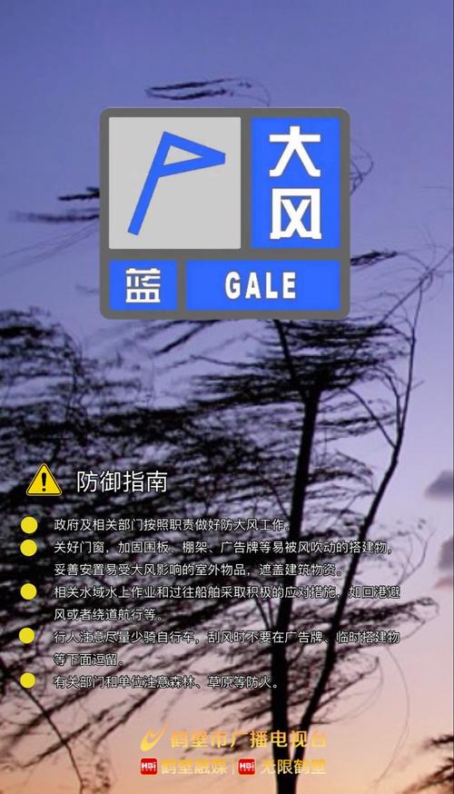 四川省苍溪县发布大风蓝色预警_3