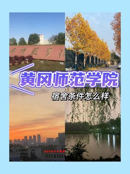 黄冈师范学院:深化校地融合 助推乡村教育振兴