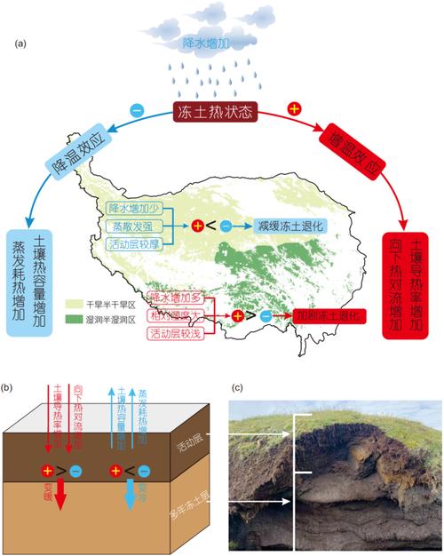 青藏科考:探明多年冻土区路面病害影响因素及形成机理