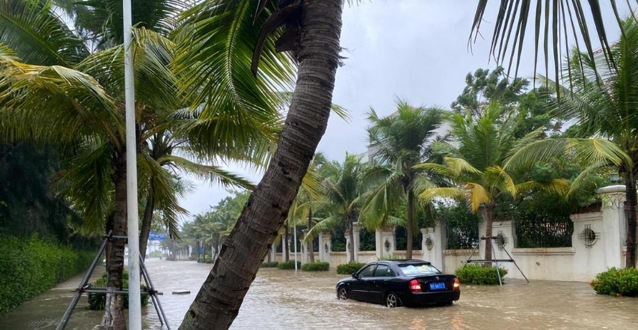 台风致三亚强降雨 部分树木倒伏砸中车辆