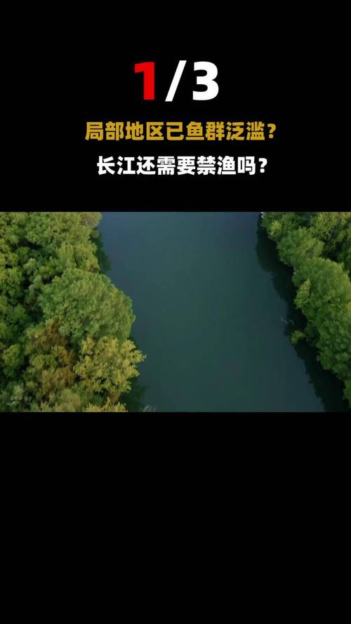 淮河干流进入为期4个月的春季禁渔期