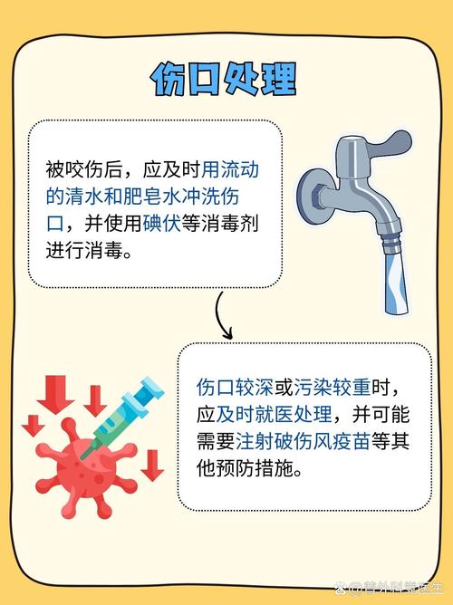 预防狂犬病,别被猫狗咬就够了吗?还有这些需要注意→