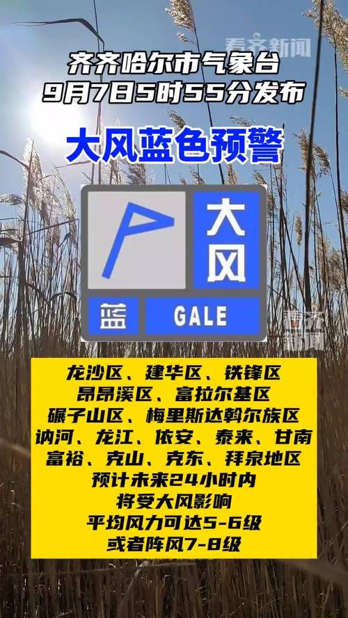 黑龙江省齐齐哈尔市发布大风蓝色预警_7