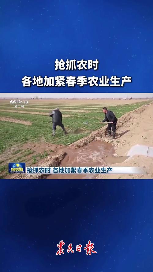 各地奏响春耕生产“进行曲” 机械化育出丰收好“苗”头