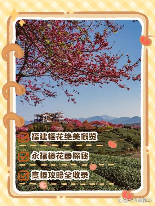锦绣中国年丨福建清流台创园2000亩樱花盛放引客来
