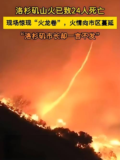 美国洛杉矶山火已致7人死亡