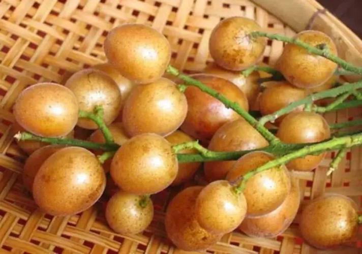 这个夏日“正气果”,是北方人的“盲区水果”!不生湿、不上火、还化痰……